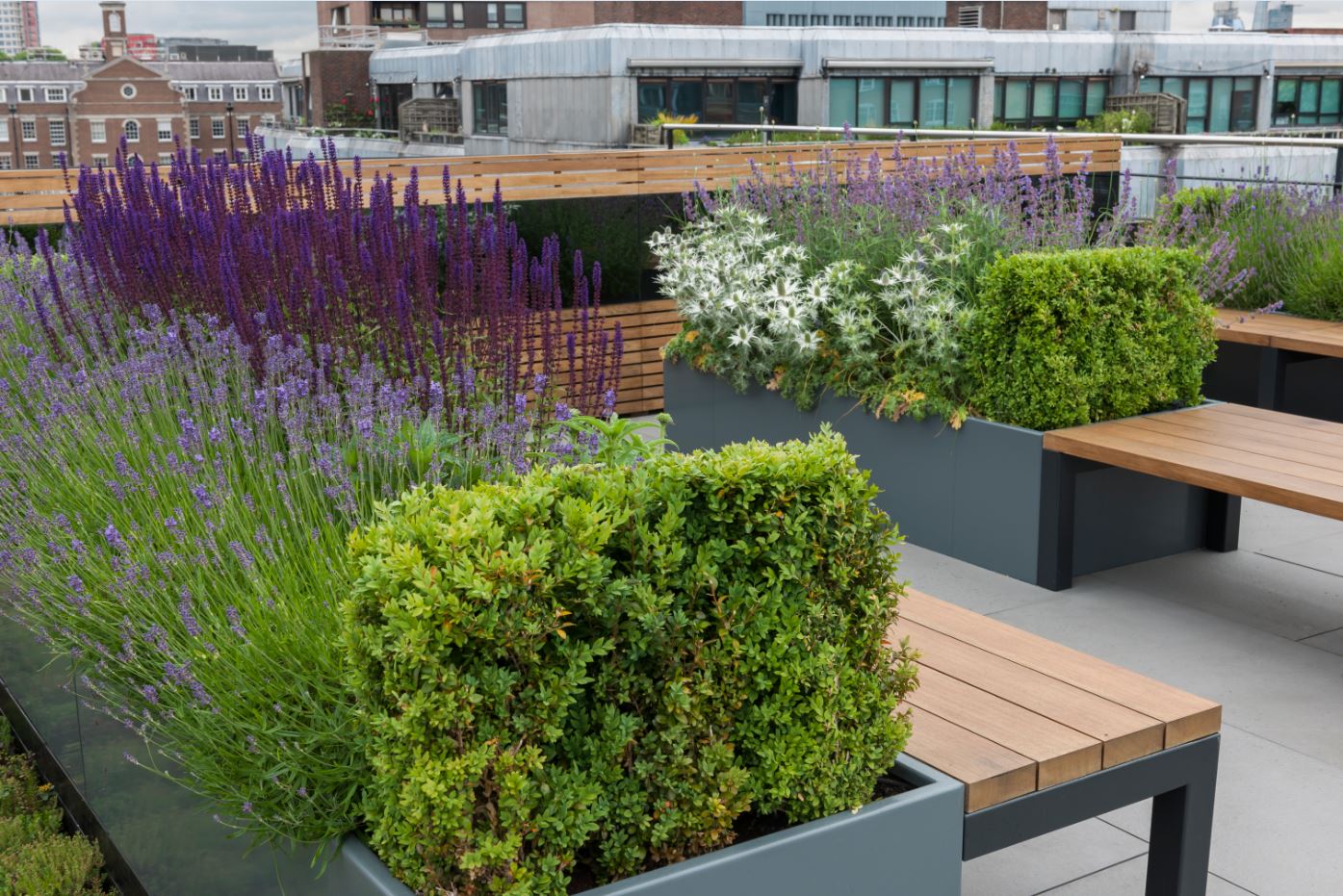 GANTON STREET LONDON - Aralia Garden Design – Landscape & Garden Design